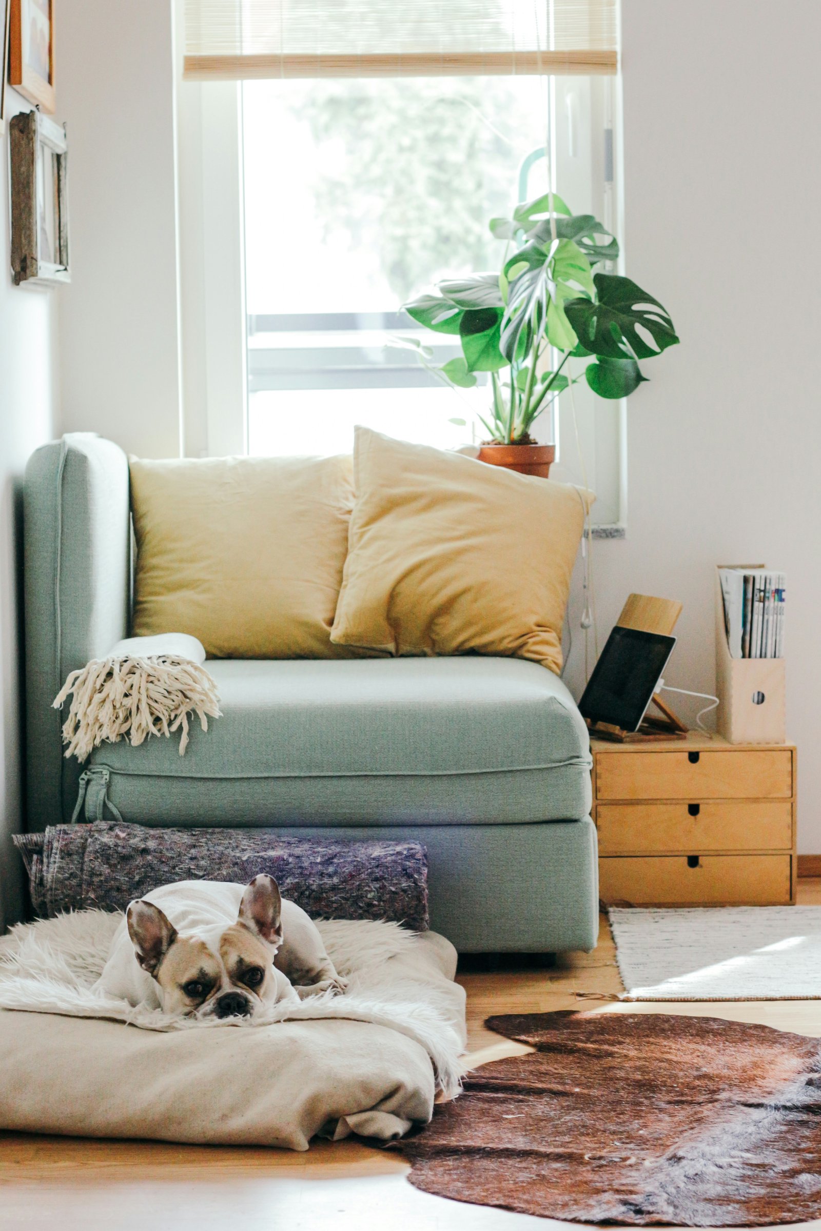 Renters Insurance — Photo: Brina Blum